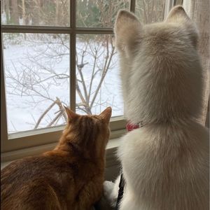 Meet your Posher, Cathy